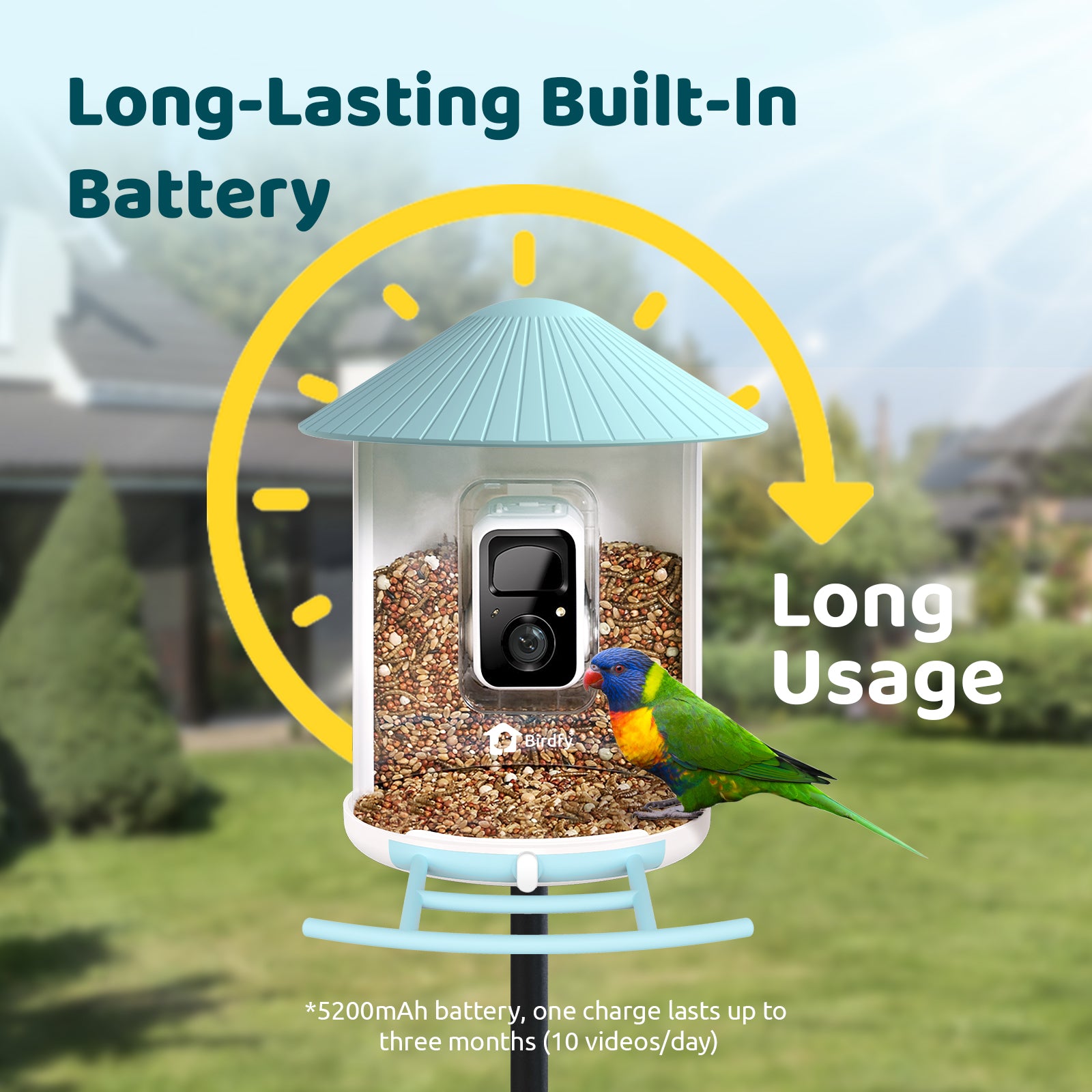 Birdfy Feeder - AI Smart Bird Feeder with Camera (Solar Powered)